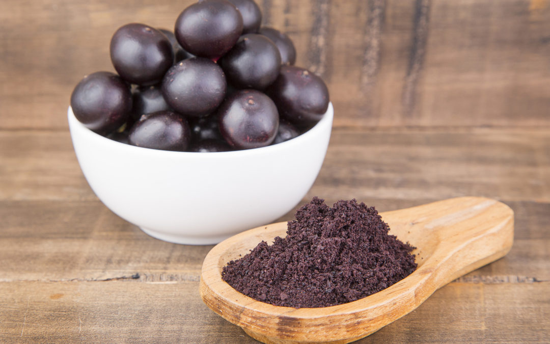 Conheça os benefícios do açaí em pó